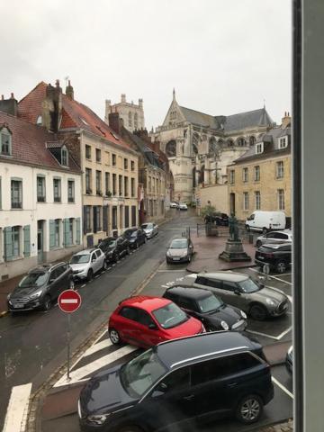 Les Dames Au Chapeau Vert Saint-Omer  Eksteriør bilde